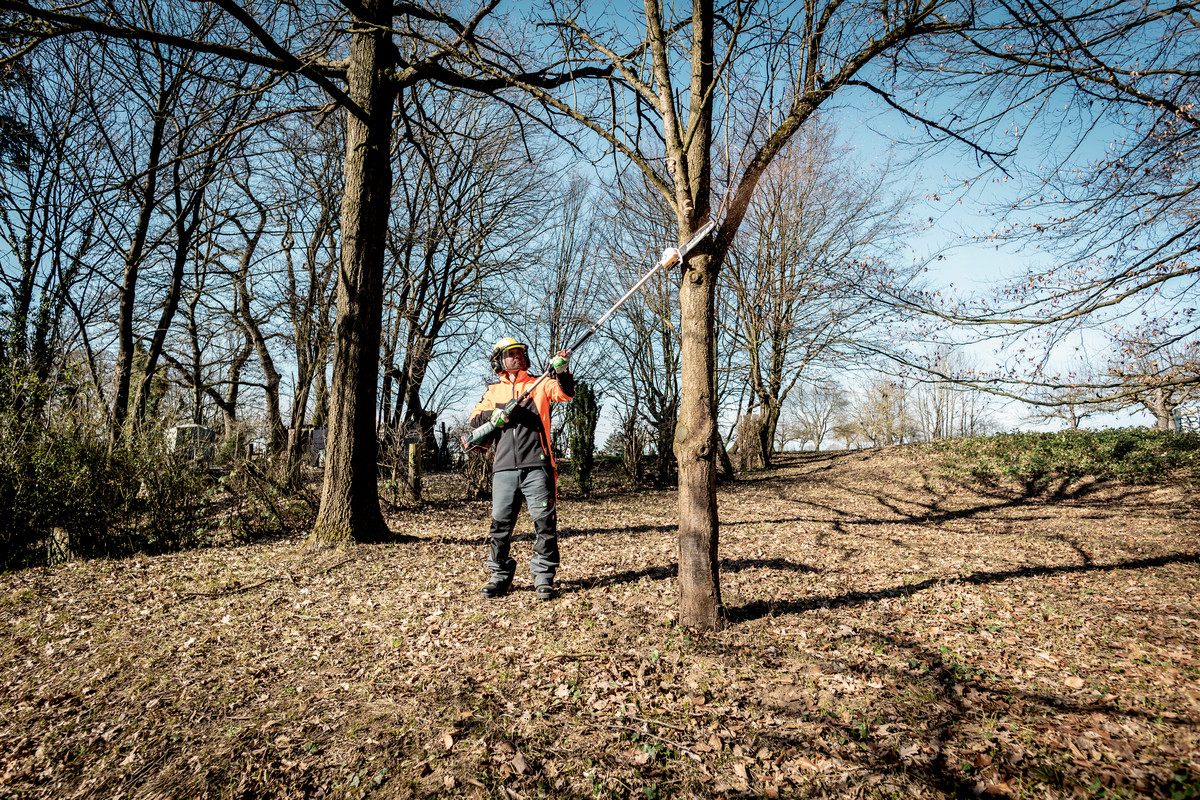 Moteur multifonctions Jardin 18 V MA 36-18 LTX BL Q  - METABO - 601725850