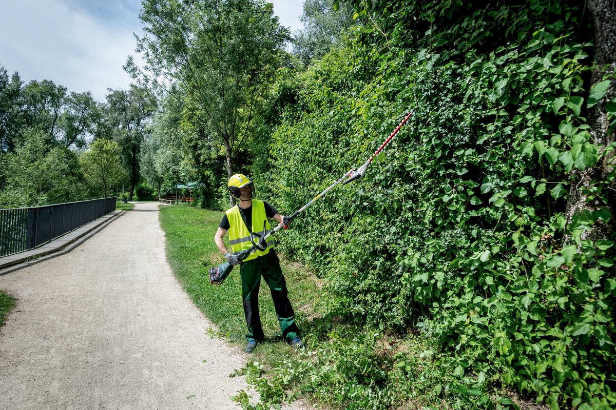 Accessoire pour Taille-haie MA-HS 50 - METABO - 601726850