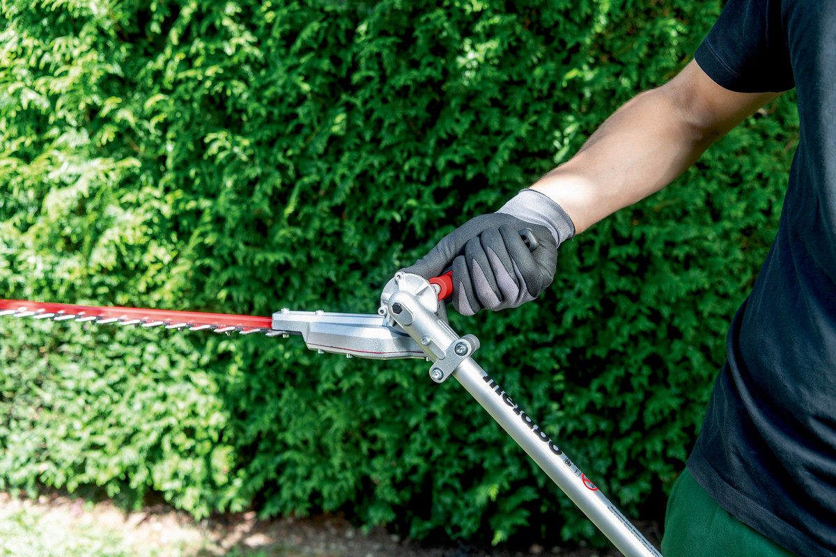 Accessoire pour Taille-haie MA-HS 50 - METABO - 601726850