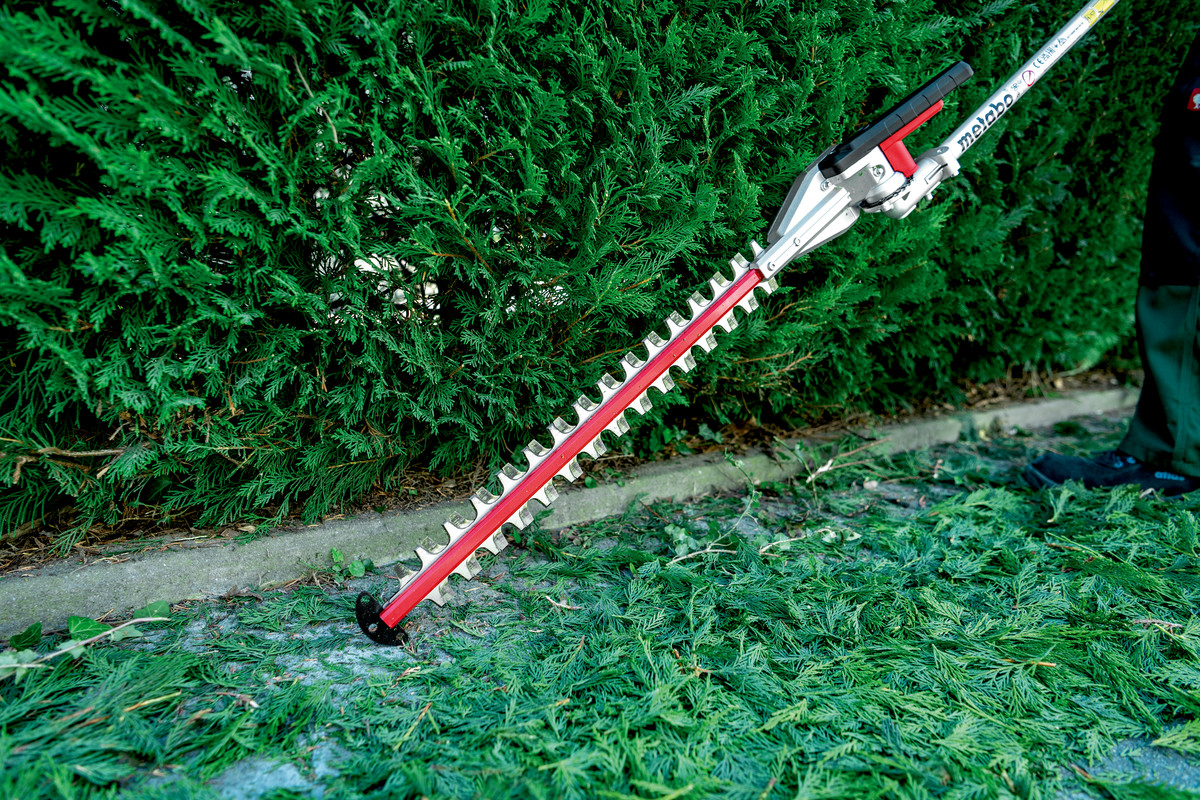 Accessoire pour Taille-haie MA-HS 50 - METABO - 601726850