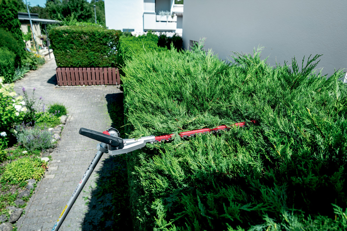 Accessoire pour Taille-haie MA-HS 50 - METABO - 601726850