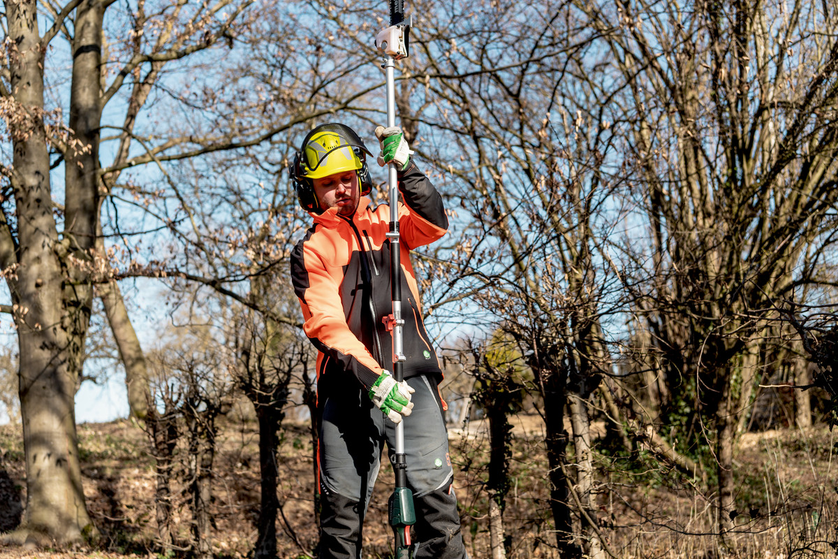 Accessoire pour Élagueuse sur perche MA-MS 25 - METABO - 601727850