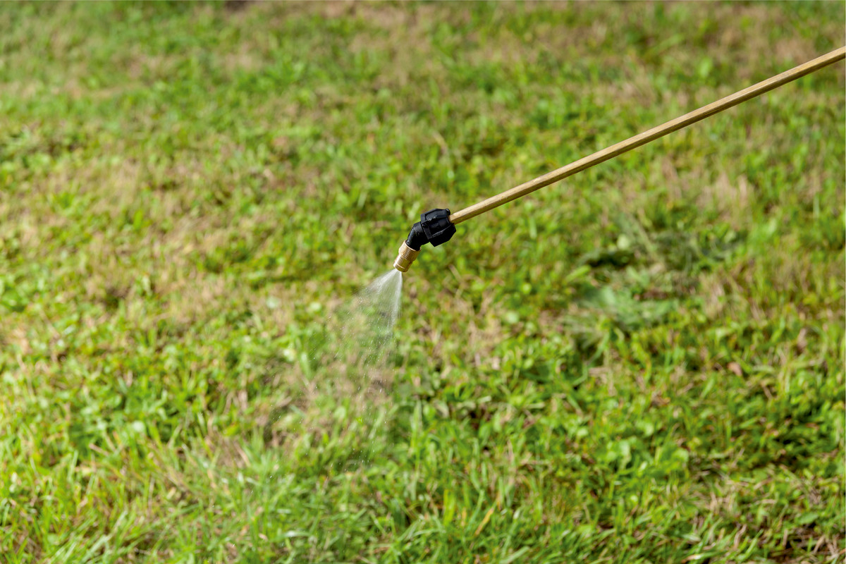 Pulvérisateur 18V RSG 18 LTX 15 - METABO - 602038850