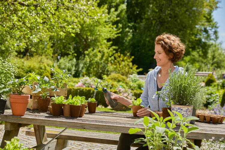 Pulvérisateur à pipette 0,45L - GARDENA - 11102-20