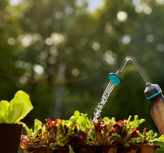 Pulvérisateur à pipette 0,45L - GARDENA - 11102-20