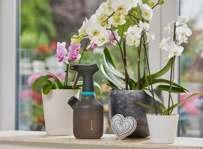 Pulvérisateur à gâchette 1L - GARDENA - 11112-20