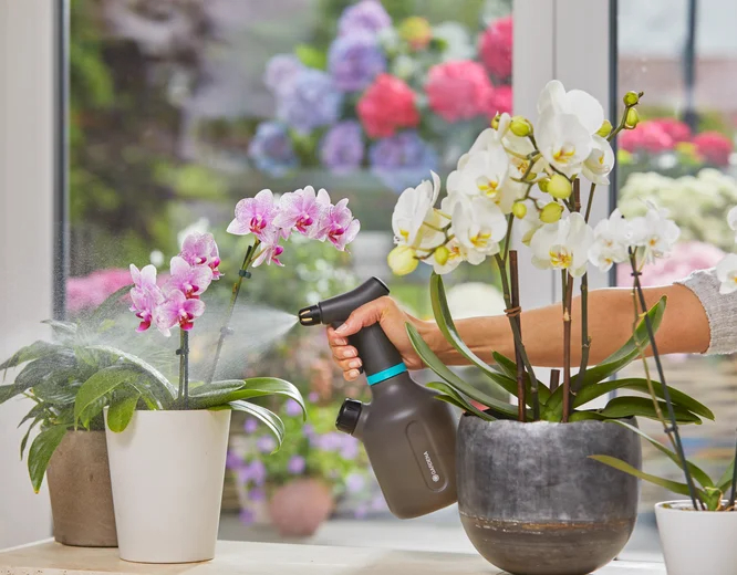 Pulvérisateur sur batterie à gâchette EasyPump 1L - GARDENA - 11114-20