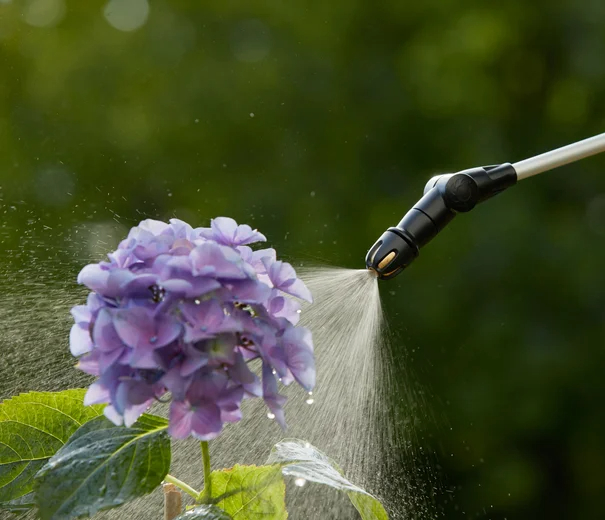 Pulvérisateur à pression préalable Plus 5 L - GARDENA - 11138-20