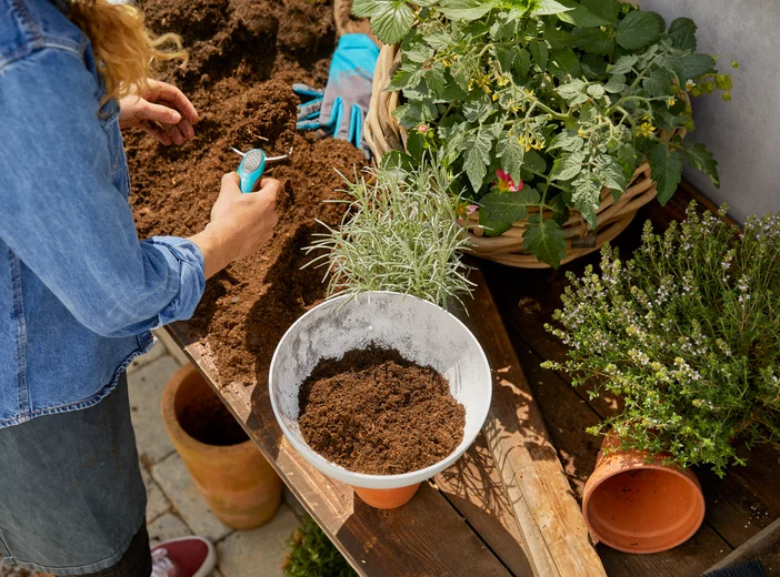 ClickUp! Pot de fleurs - GARDENA - 11320-20