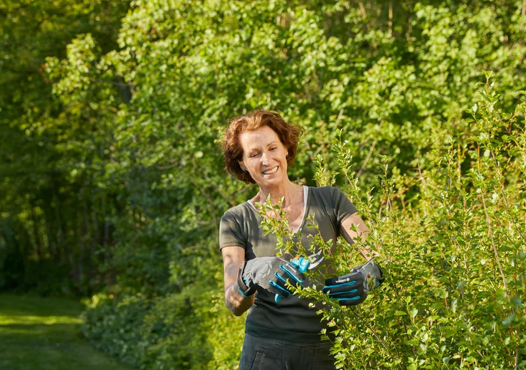 Gants de jardin pour arbustes & épineux - Taille 8 / M - GARDENA - 11530-20