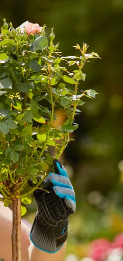 Gants de jardin pour rosiers - Taille 8 / M - GARDENA - 11540-20