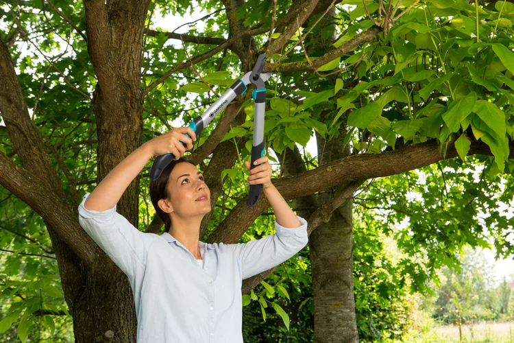 Coupe-branches EasyCut 500 B - GARDENA - 12002-20