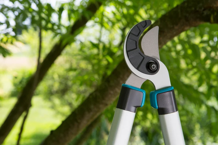 Coupe-branches EasyCut 680 A - GARDENA - 12004-20