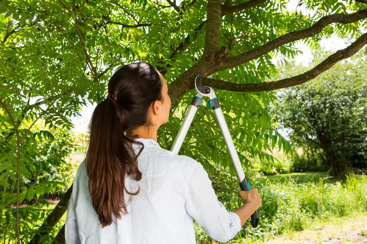 Coupe-branches EasyCut 680 A - GARDENA - 12004-20