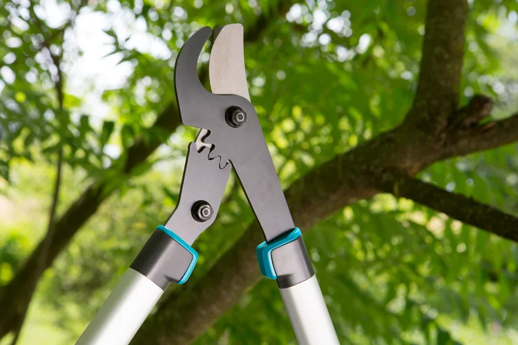 Coupe-branches EnergyCut 600 B - GARDENA - 12006-20