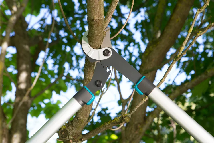 Coupe-branches EnergyCut 750 A - GARDENA - 12008-20