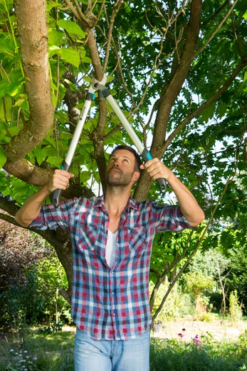 Coupe-branches EasyCut 680 B - GARDENA - 12083-20