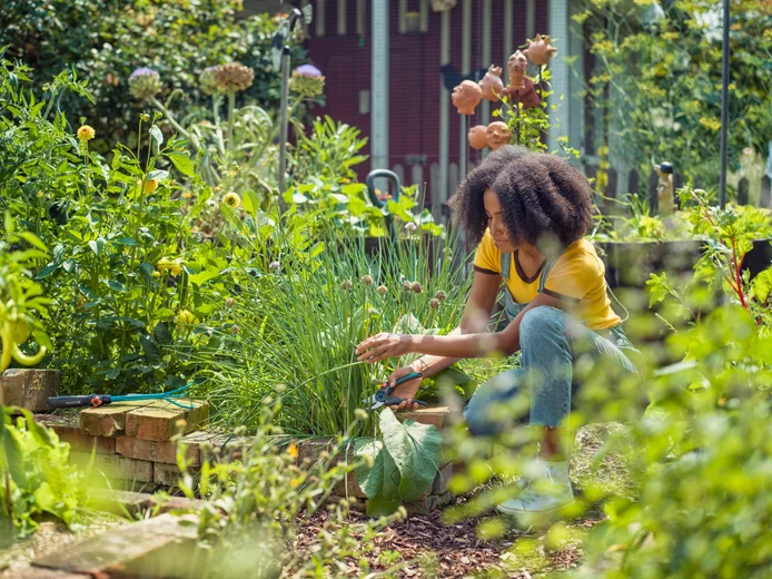 Sécateur ExpertCut - GARDENA - 12203-20