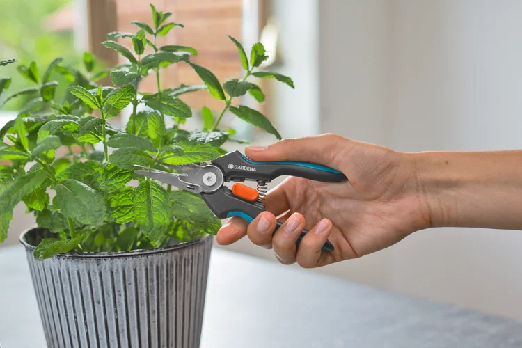 Ciseaux de récolte GripCut - GARDENA - 12213-20