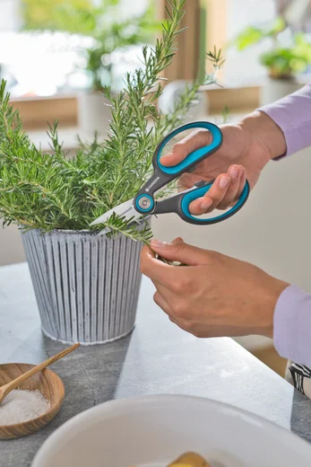 HerbCut Set - GARDENA - 12214-36