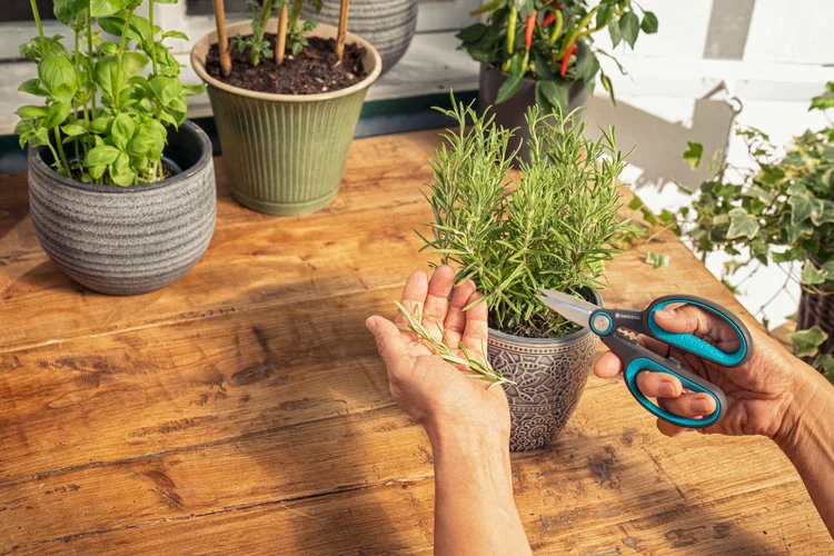 HerbCut Set - GARDENA - 12214-36