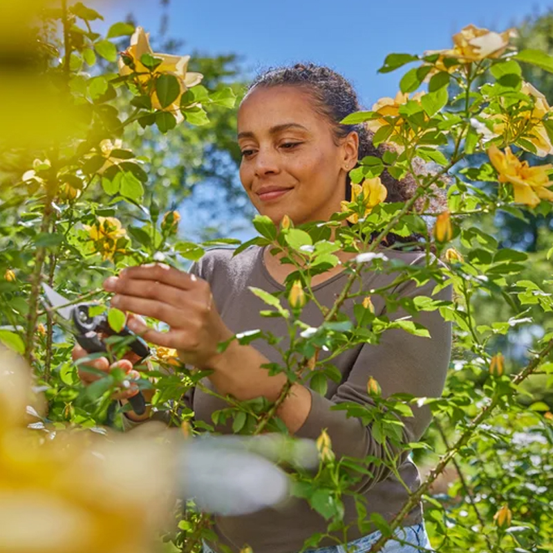 Sécateur PremiumCut Flex - GARDENA - 12242-20
