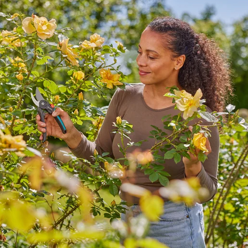 Sécateur PremiumCut Flex - GARDENA - 12242-20
