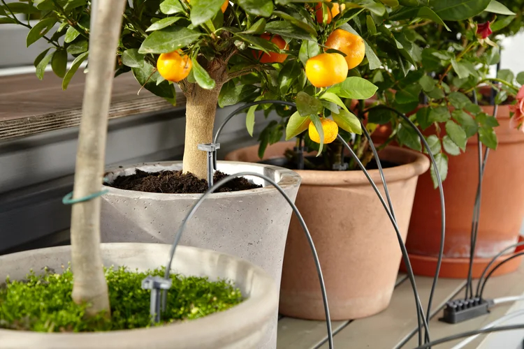 Arrosage automatique de vacances - GARDENA - 1265-20