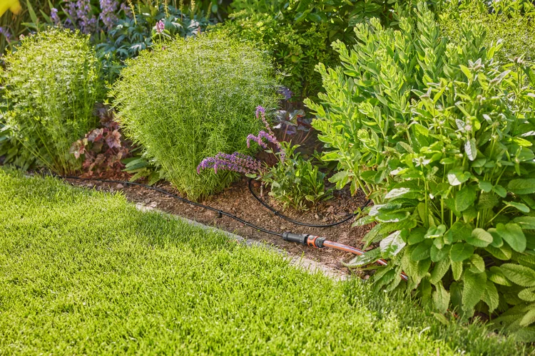 Kit d'arrosage goutte-à-goutte pour rangées de plantes 15 m - GARDENA - 13010-90