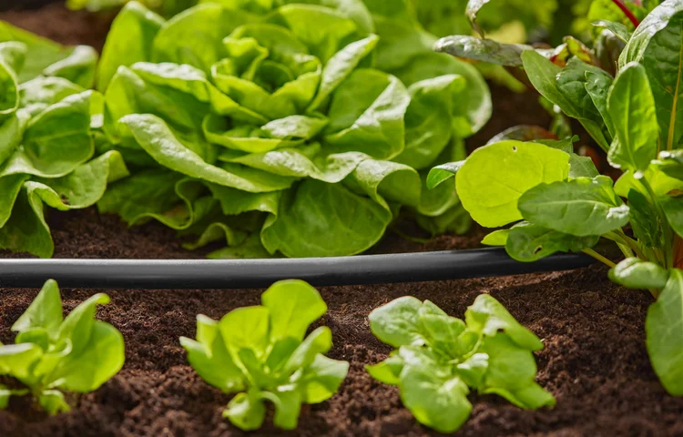 Tuyau Flex 13 mm (1/2