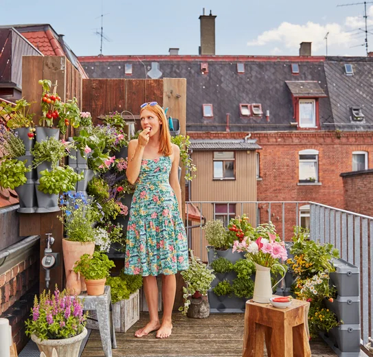 Support mural pour mur végétal NatureUp ! - GARDENA - 13162-20