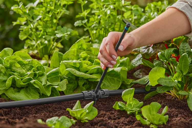 Dérivation en T pour micro-asperseurs 13 mm - GARDENA - 13206-26