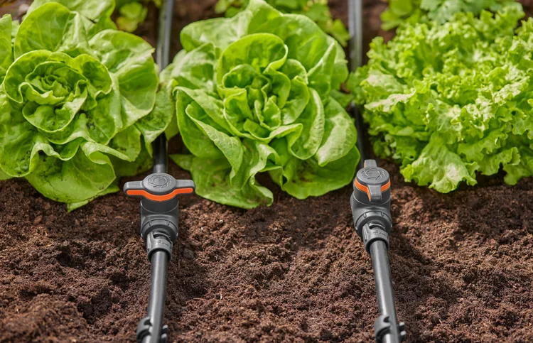 Robinet d'arrêt 13 mm - GARDENA - 13207-20