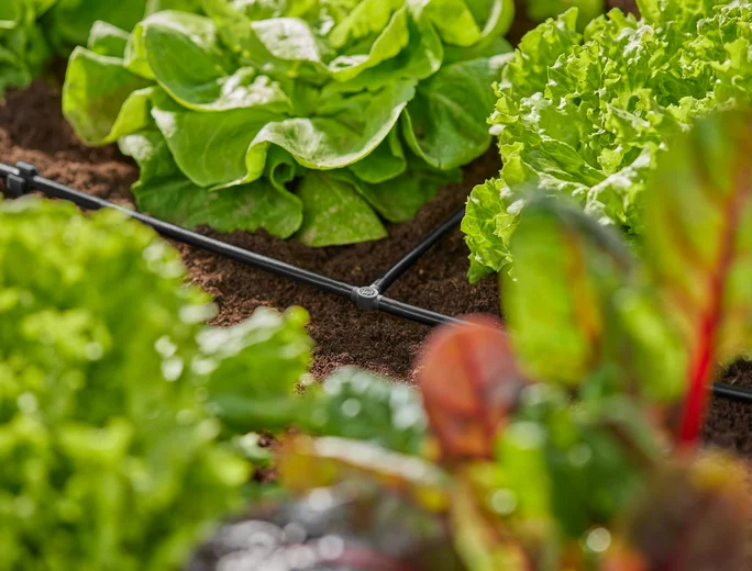 Dérivation en T 4.6 mm - GARDENA - 13211-20