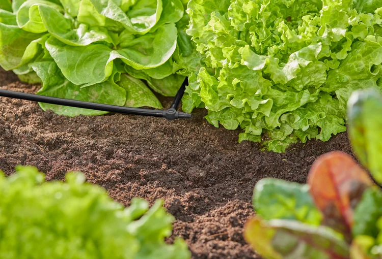 Dérivation en T 4.6 mm - GARDENA - 13211-20