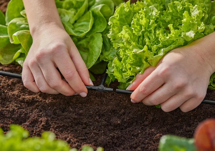 Dérivation en T 4.6 mm - GARDENA - 13211-26