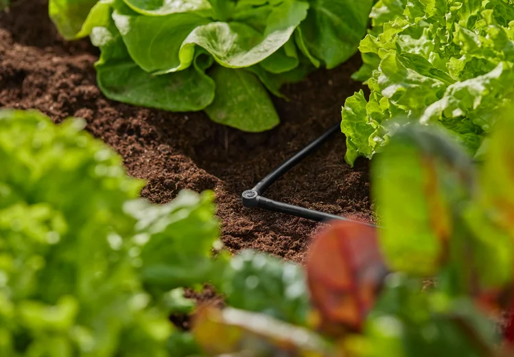 Jonction en L 4.6 mm - GARDENA - 13212-20