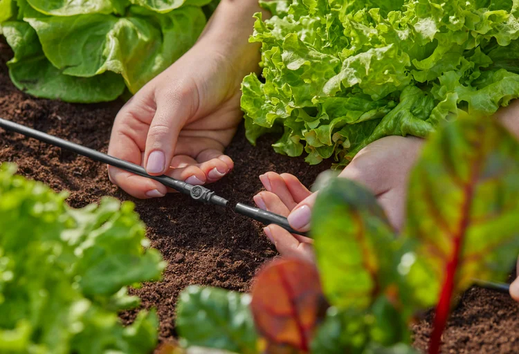 Jonction droite 4.6 mm - GARDENA - 13213-26