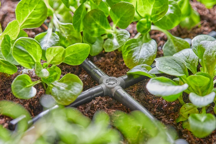 Dérivation en croix 4.6 mm - GARDENA - 13214-20