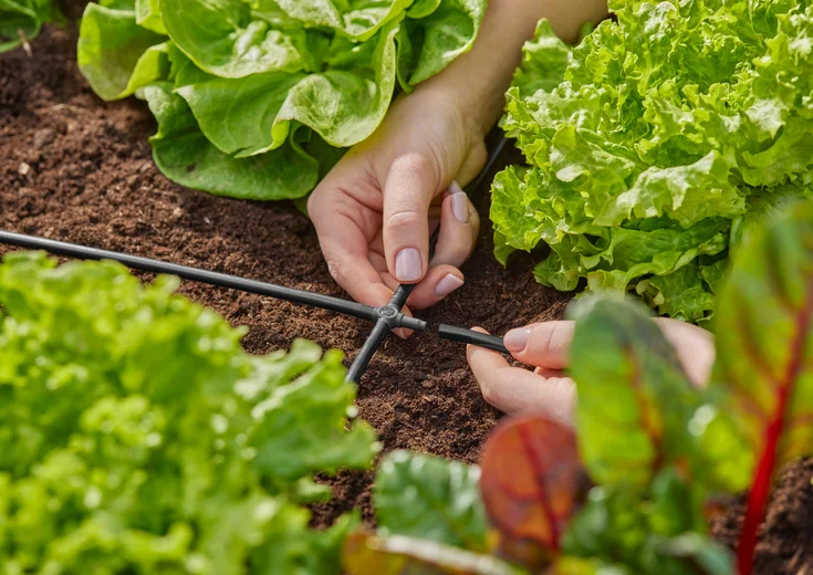 Dérivation en croix 4.6 mm - GARDENA - 13214-26