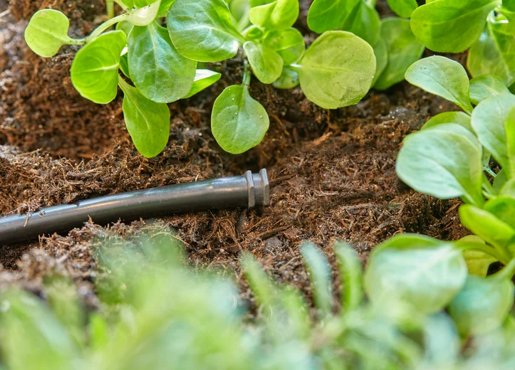 Bouchons 4.6 mm - GARDENA - 13215-20