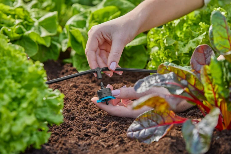 Dérivation en T pour micro-asperseurs 4.6 mm - GARDENA - 13216-26