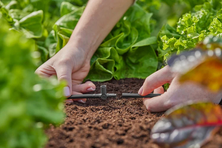 Dérivation en T pour micro-asperseurs 4.6 mm - GARDENA - 13216-26