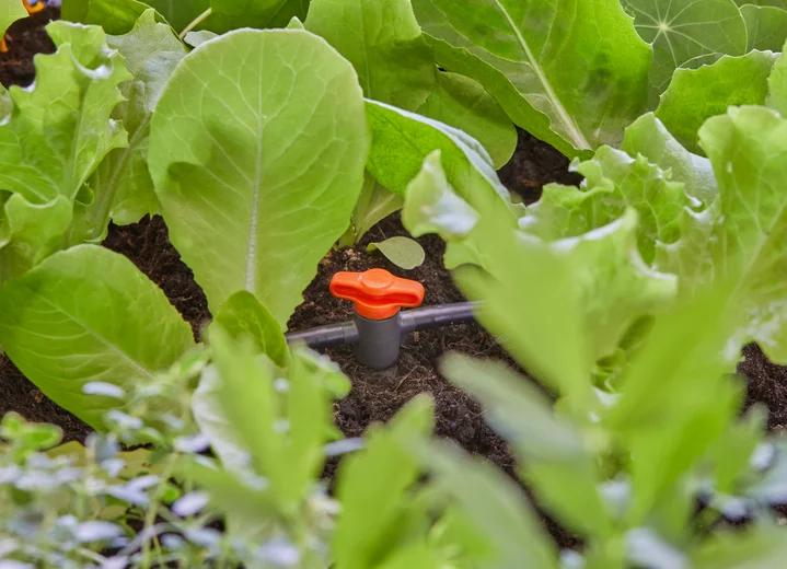 Vanne de régulation et d'arrêt (3/16