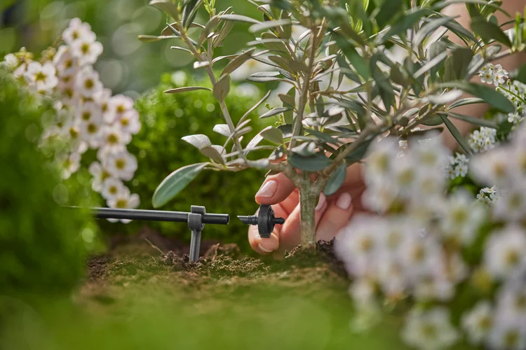 Goutteur fin de ligne régulateur de pression 2 l/h - GARDENA - 13302-26