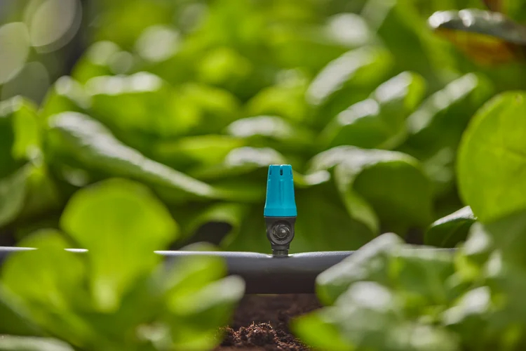 Asperseur pour petites surfaces - GARDENA - 13306-26