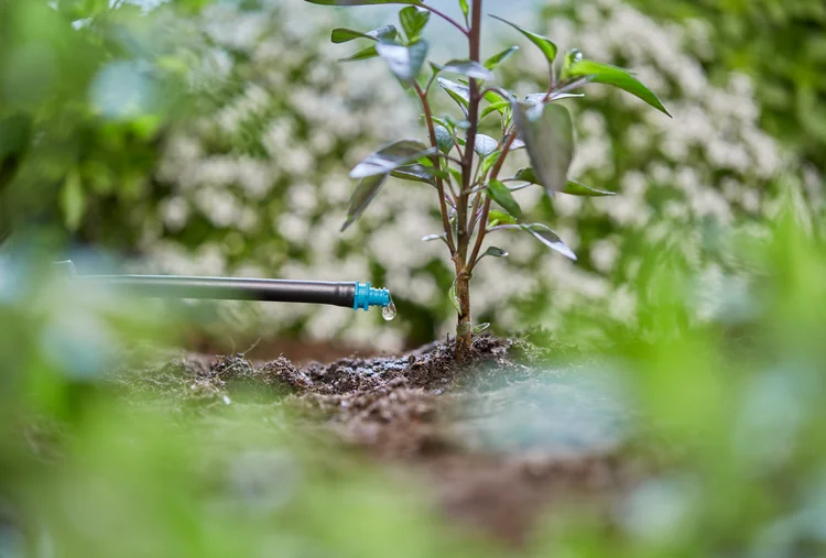 Goutteur auto-régulant fin de ligne 2 l/h - GARDENA - 13307-26