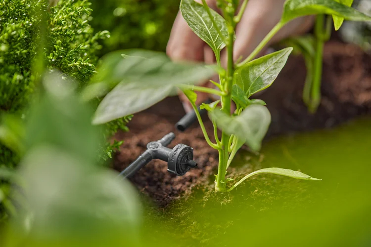 Goutteur en ligne régulateur de pression 2 l/h - GARDENA - 13312-20