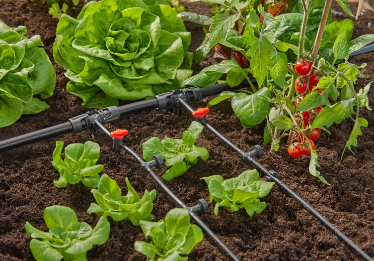 Goutteur en ligne régulateur de pression 2 l/h - GARDENA - 13312-26