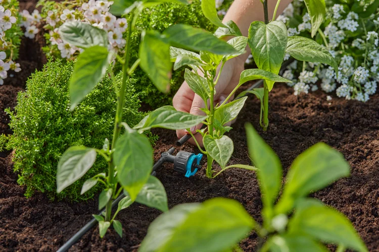 Goutteur en ligne réglable et régulateur de pression 1 - 8 l/h - GARDENA - 13314-20